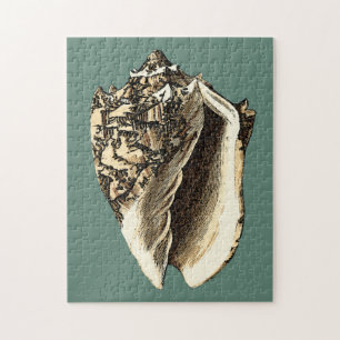 Teal Conch Shell Jigsaw Puzzle