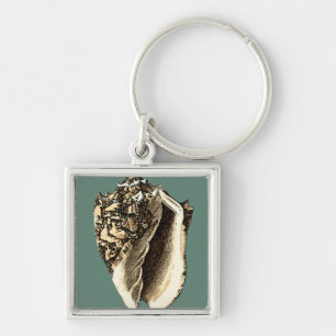 Teal Conch Shell Key Ring