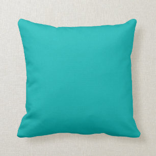 “Teal” Cushion