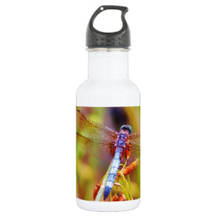 Teal Dragonfly on sedge 532 Ml Water Bottle