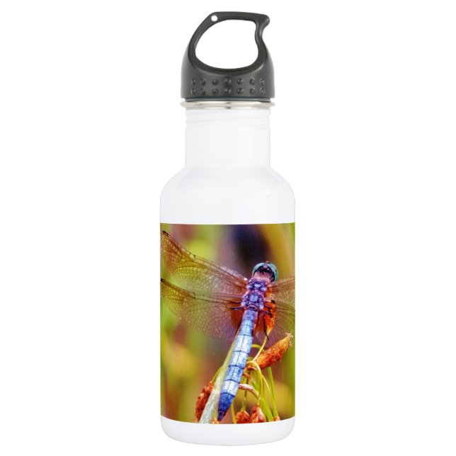 Teal Dragonfly on sedge 532 Ml Water Bottle (Front)