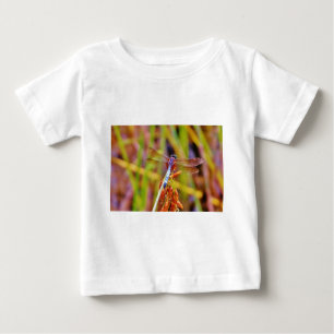Teal Dragonfly on sedge Baby T-Shirt