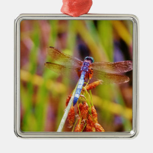 Teal Dragonfly on sedge Metal Tree Decoration