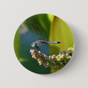Teal eyed Dragonfly 6 Cm Round Badge