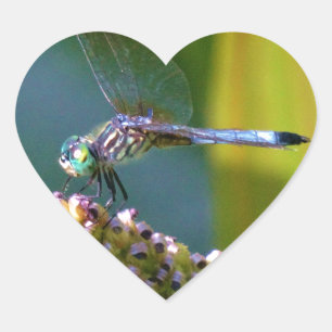 Teal eyed Dragonfly Heart Sticker