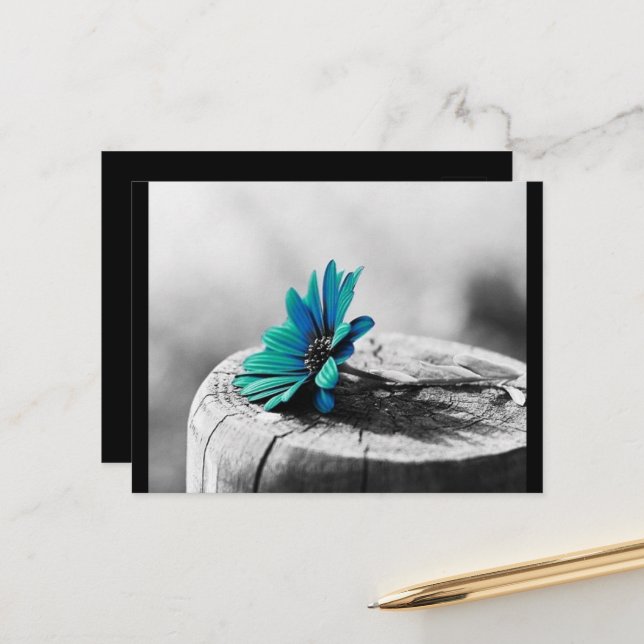 Teal Flower Postcard (Front/Back In Situ)