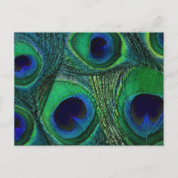 Teal Green Blue Peacock Feather Print / Pattern