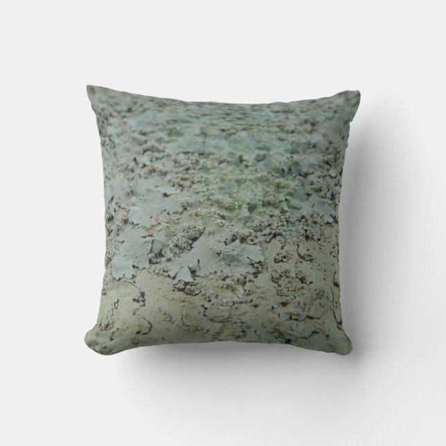 teal green grey lichen abstract pattern pillow (Front)