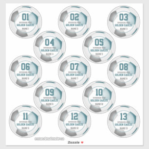 Teal grey soccer team colours girls boys set of 13