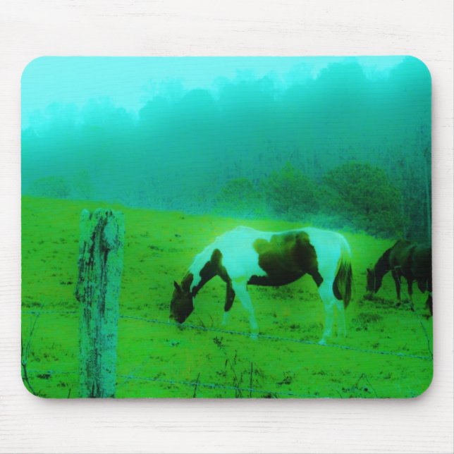 Teal mist Reto coloured painted pony Horse Mouse Pad (Front)