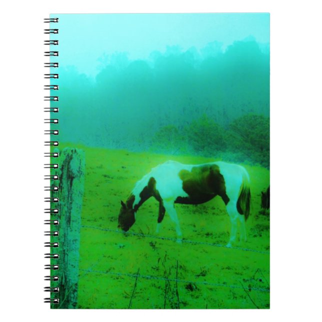 Teal mist Reto coloured painted pony Horse Spiral Notebook (Front)
