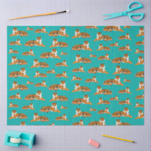 Teal Orange Jungle Tiger Animal Pattern Tissue Paper