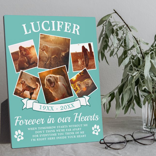 Teal Pet Memorial Keepsake Plaque (Creator Uploaded)