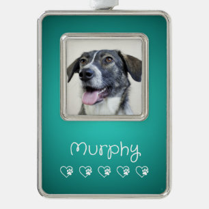 Teal Pet Photo Ornament - Frame, Custom Keepsake