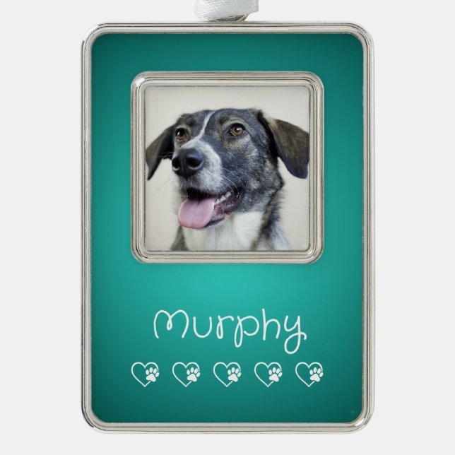 Teal Pet Photo Ornament - Frame, Custom Keepsake (Front)