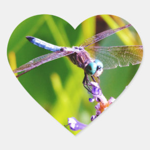 Teal & purple Dragonfly Heart Sticker