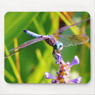 Teal & purple Dragonfly Mouse Pad