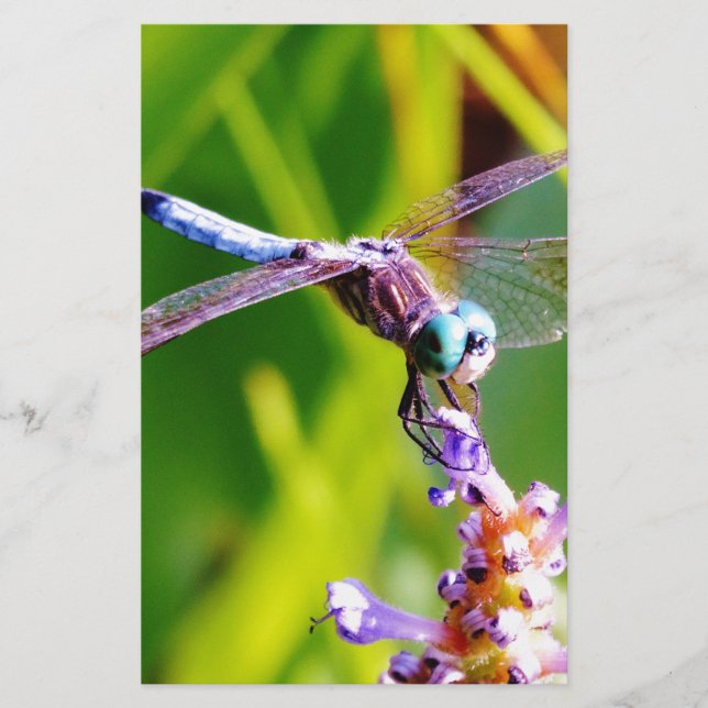 Teal & purple Dragonfly Stationery (Front)