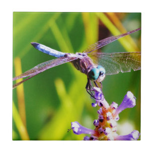 Teal & purple Dragonfly Tile