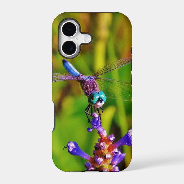 Teal Rainbow Dragonfly (Back)