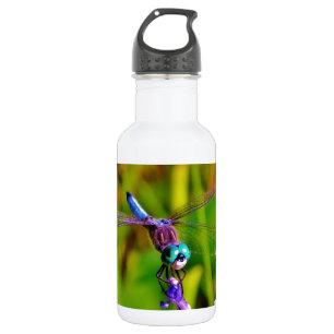 Teal Rainbow Dragonfly 532 Ml Water Bottle