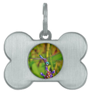 Teal Rainbow Dragonfly Pet ID Tag