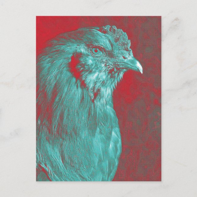 Teal Rooster Postcard (Front)