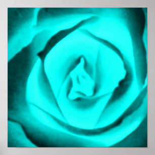 Teal Rose Poster