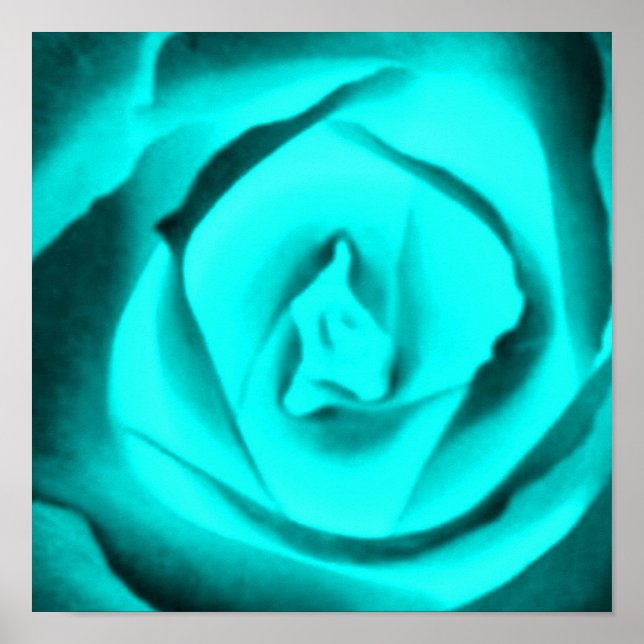 Teal Rose Poster (Front)