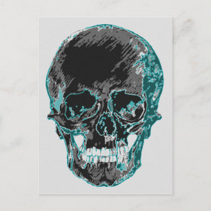 Teal Skull Postcard