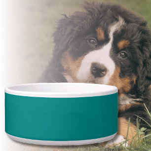 Teal Solid Colour   Classic   Elegant