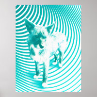 teal terrier