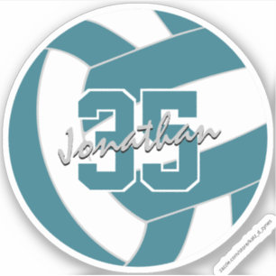 teal white volleyball team colours 