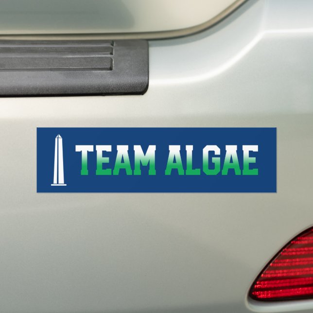 Team Algae Reflecting Pool Funny Anti-Trump Bumper Sticker (On Car)