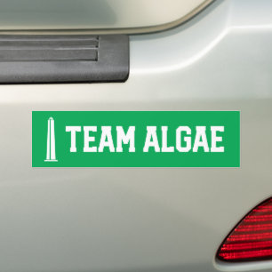 Team Algae Reflecting Pool Funny Anti-Trump Bumper Sticker