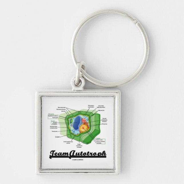 Team Autotroph (Plant Cell Biology) Key Ring (Front)