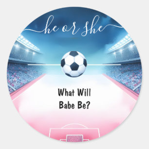 Team Ball Pitch Fun Soccer Field Gender Reveal Classic Round Sticker