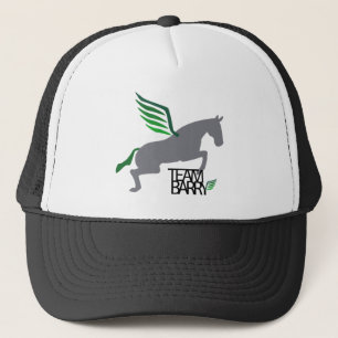 Team Barry Hat
