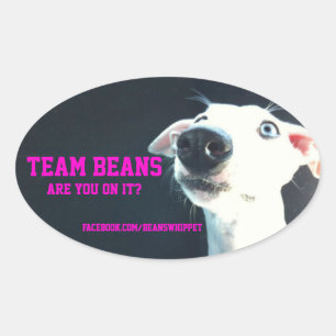 Team Beans oval sticker