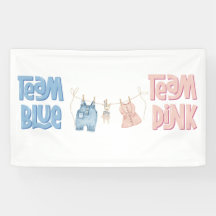 Team Blue and Pink Gender Reveal