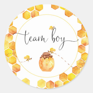 Team Boy Bee Theme Gender Reveal Stickers