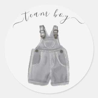 Team Boy He or She Gender Reveal Classic Round Sticker