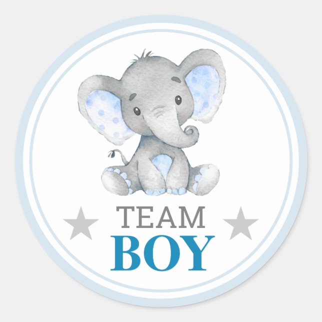Team Boy I Vote Gender Reveal Baby Shower Sprinkle Classic Round Sticker (Front)