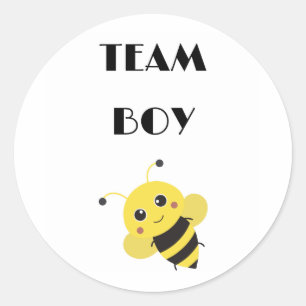 Team Boy Vote gender reveal party Classic Round Sticker