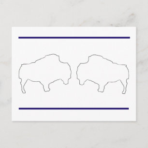 Team Buffalo Postcard