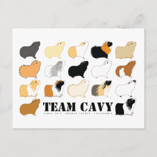 TEAM CAVY POSTCARD