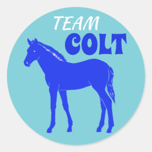 "Team Colt" Colt Gender Reveal Classic Round Sticker