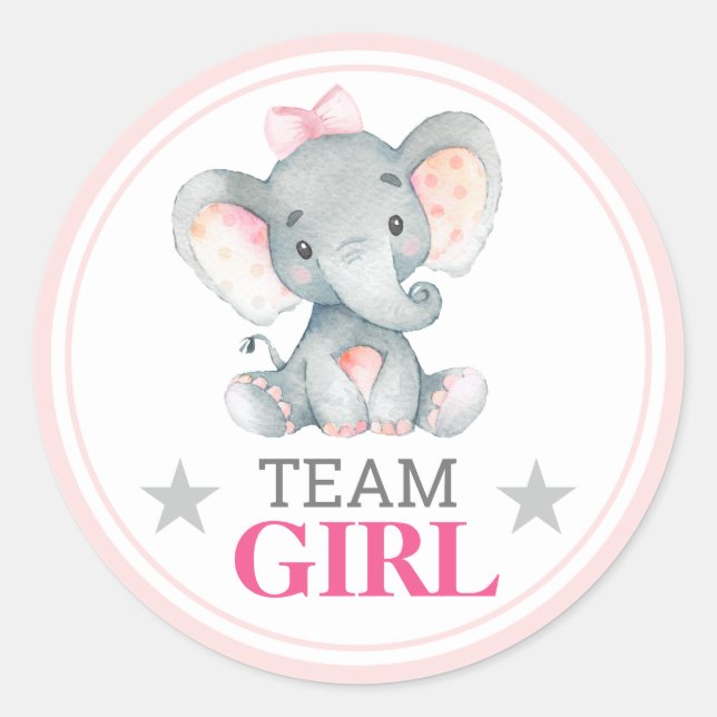 Team Girl Vote Gender Reveal Baby Shower Sprinkle Classic Round Sticker (Front)
