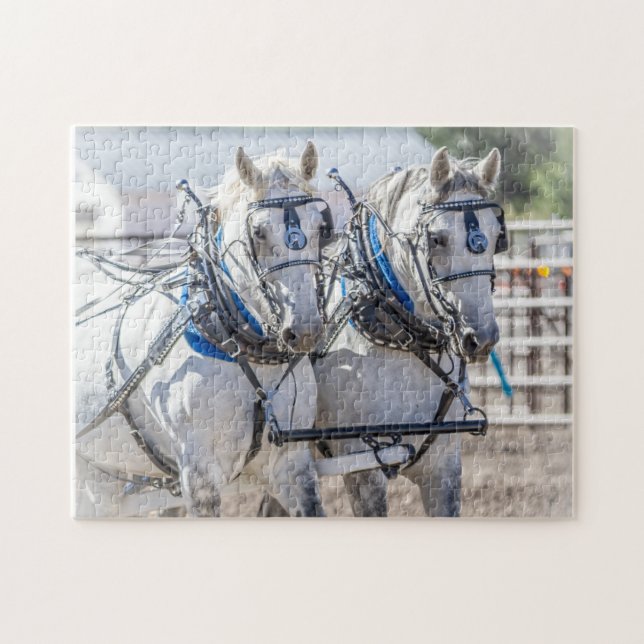 Team Grey Perchon Draught Horses Jigsaw Puzzle (Horizontal)