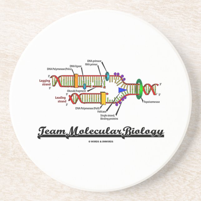 Team Molecular Biology (DNA Replication) Coaster (Front)